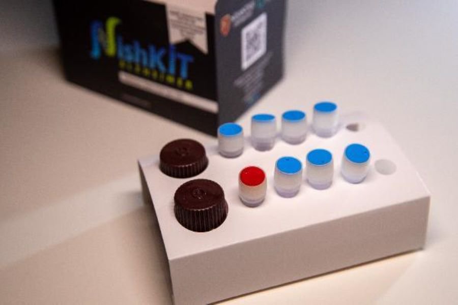 NishKİT Sporadik Alzheimer Riski PCR Tanı Kiti